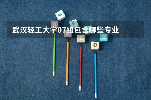 武汉轻工大学07组包含哪些专业