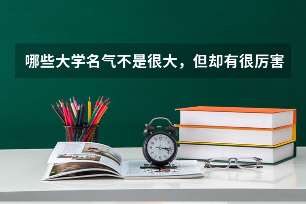 哪些大学名气不是很大，但却有很厉害的专业？