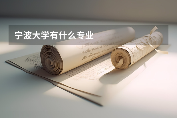 宁波大学有什么专业