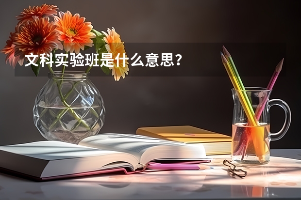 文科实验班是什么意思？