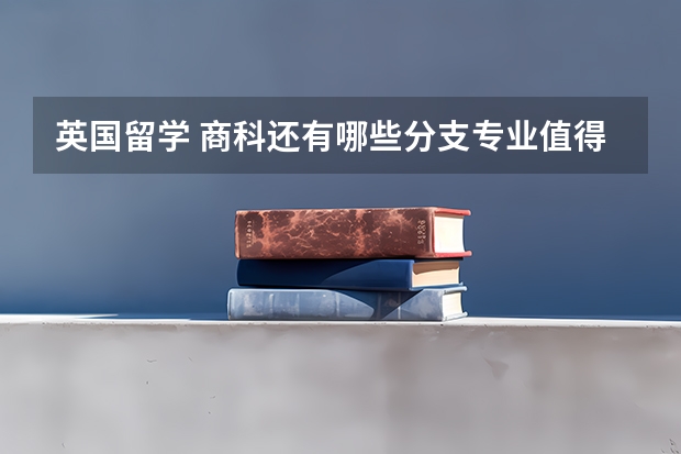 英国留学 商科还有哪些分支专业值得关注?求大神帮助