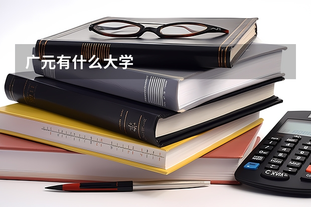 广元有什么大学