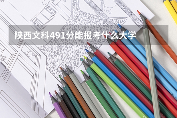 陕西文科491分能报考什么大学