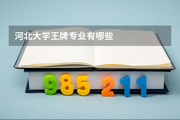河北大学王牌专业有哪些