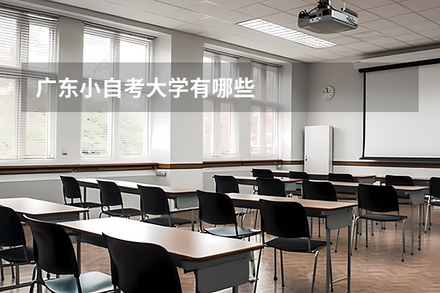 广东小自考大学有哪些