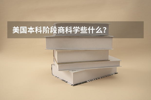 美国本科阶段商科学些什么？