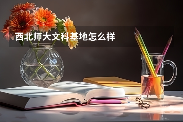 西北师大文科基地怎么样
