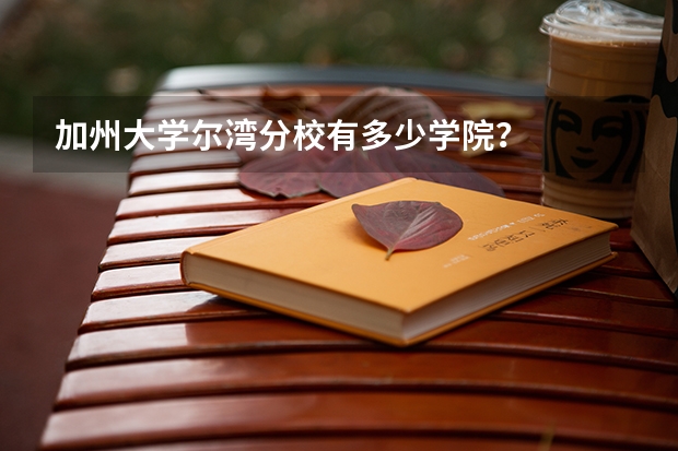 加州大学尔湾分校有多少学院？