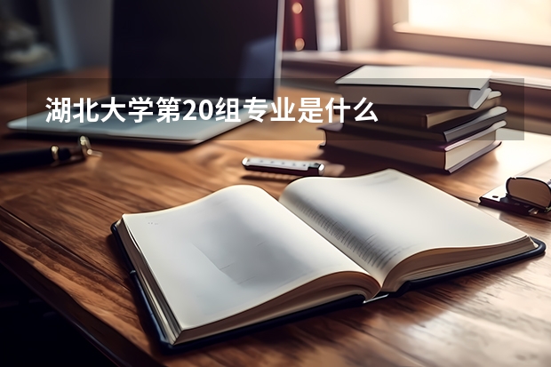 湖北大学第20组专业是什么