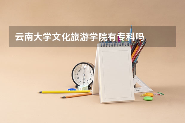 云南大学文化旅游学院有专科吗