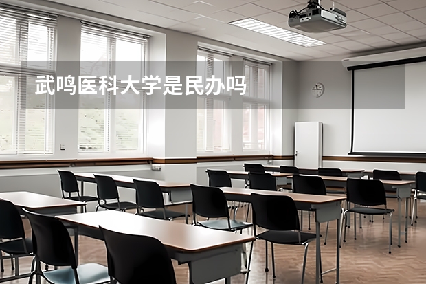 武鸣医科大学是民办吗