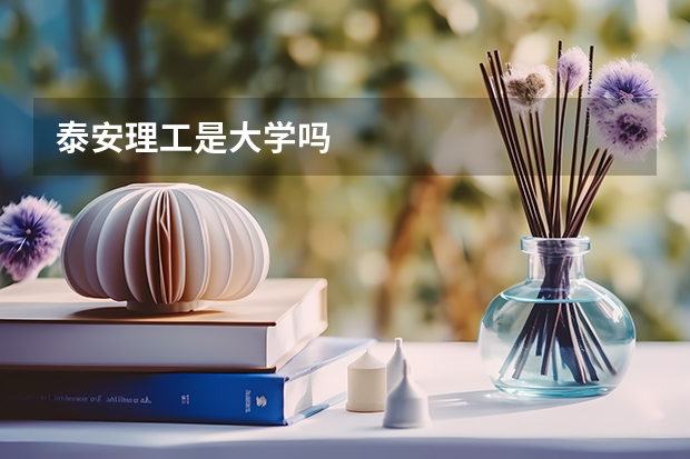 泰安理工是大学吗