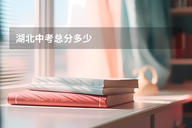 湖北中考总分多少