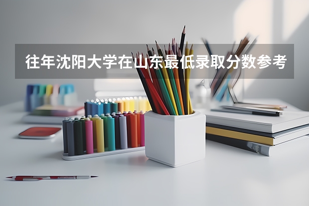 往年沈阳大学在山东最低录取分数参考