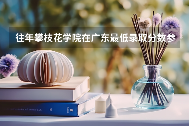 往年攀枝花学院在广东最低录取分数参考