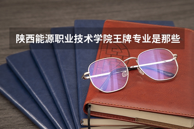 陕西能源职业技术学院王牌专业是那些 陕西能源职业技术学院就业率怎么样