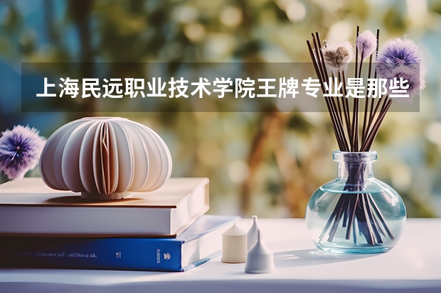 上海民远职业技术学院王牌专业是那些 上海民远职业技术学院就业率怎么样