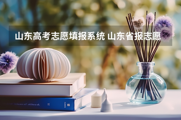 山东高考志愿填报系统 山东省报志愿网站是哪个