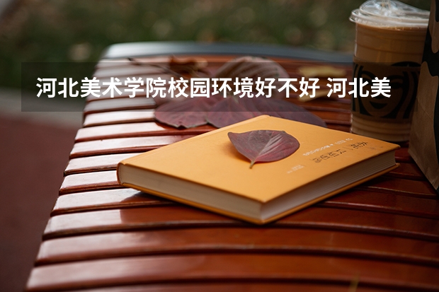 河北美术学院校园环境好不好 河北美术学院学费贵不贵