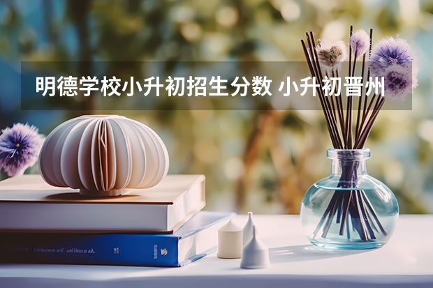 明德学校小升初招生分数 小升初晋州市明德录取分数线