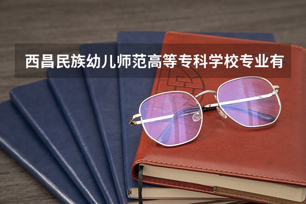 西昌民族幼儿师范高等专科学校专业有哪些（专业录取分数）