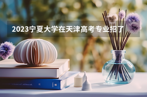 2023宁夏大学在天津高考专业招了多少人
