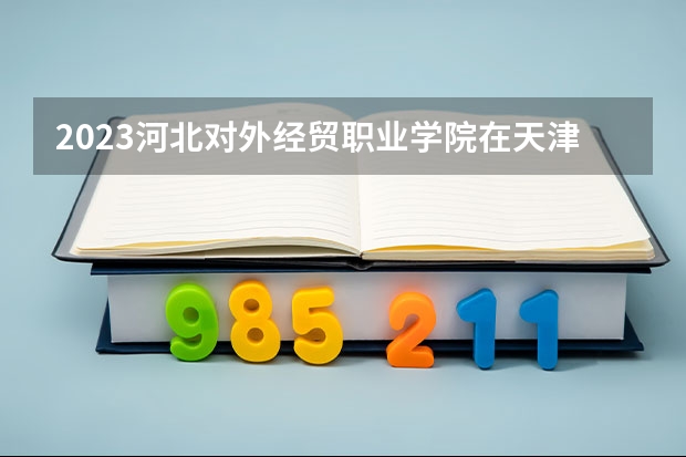 2023河北对外经贸职业学院在天津高考专业招了多少人
