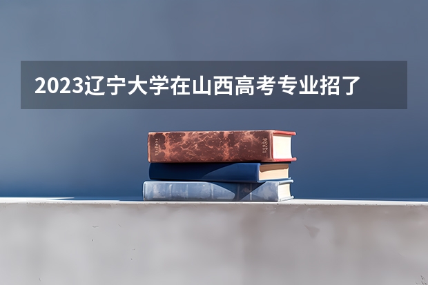 2023辽宁大学在山西高考专业招了多少人