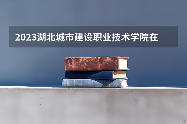 2023湖北城市建设职业技术学院在山西高考专业招了多少人