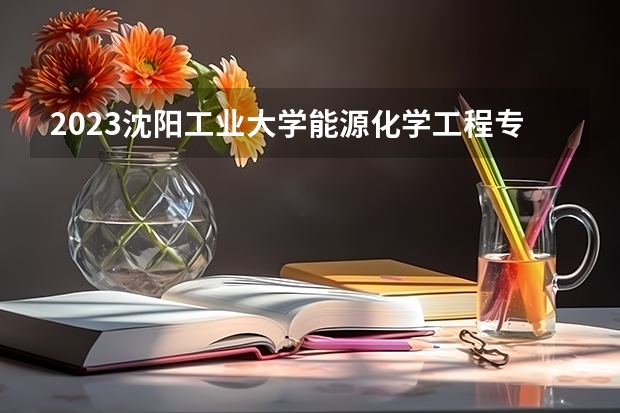 2023沈阳工业大学能源化学工程专业录取分数 沈阳工业大学能源化学工程专业往年录取分数参考