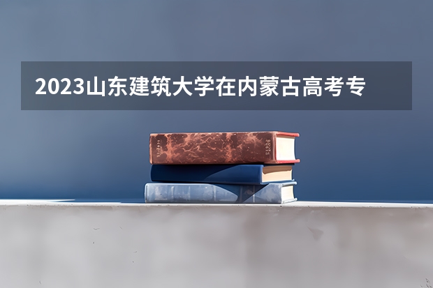 2023山东建筑大学在内蒙古高考专业招了多少人
