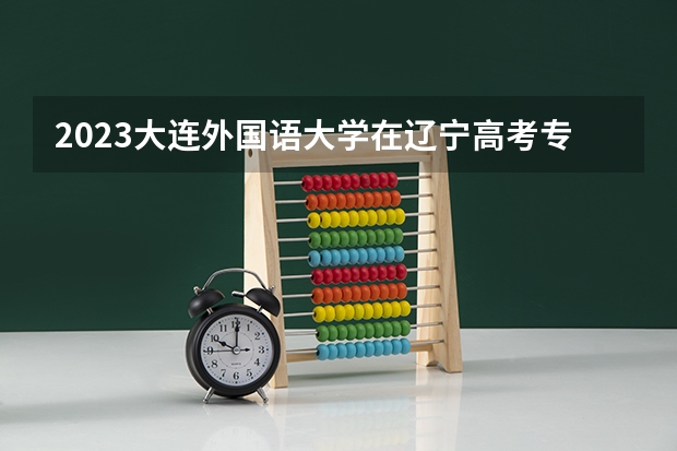 2023大连外国语大学在辽宁高考专业招了多少人