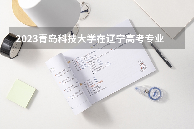 2023青岛科技大学在辽宁高考专业招了多少人