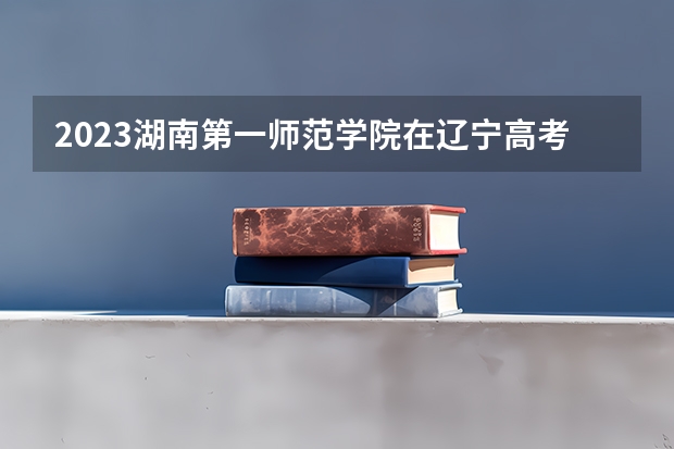 2023湖南第一师范学院在辽宁高考专业招了多少人