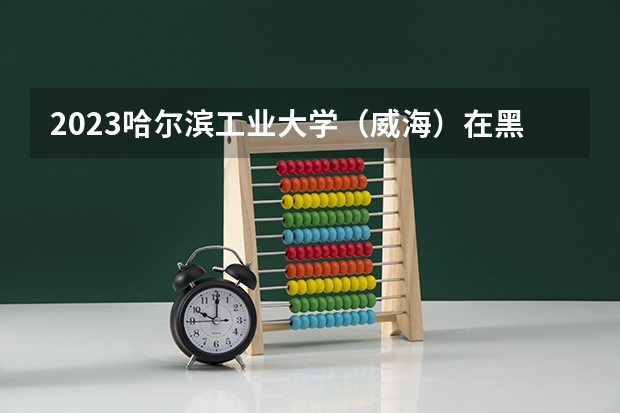 2023哈尔滨工业大学（威海）在黑龙江高考专业招了多少人