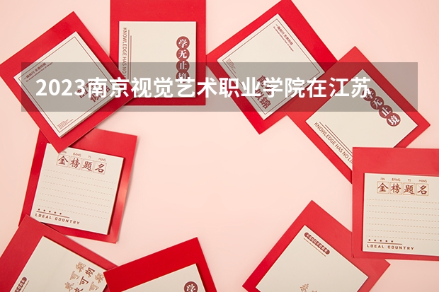 2023南京视觉艺术职业学院在江苏高考专业招了多少人
