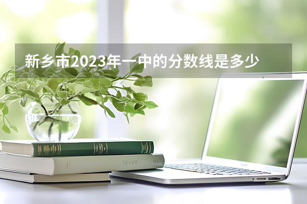 新乡市2023年一中的分数线是多少啊？