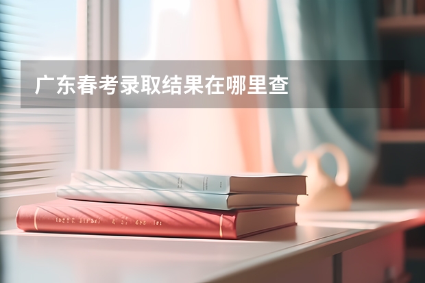 广东春考录取结果在哪里查