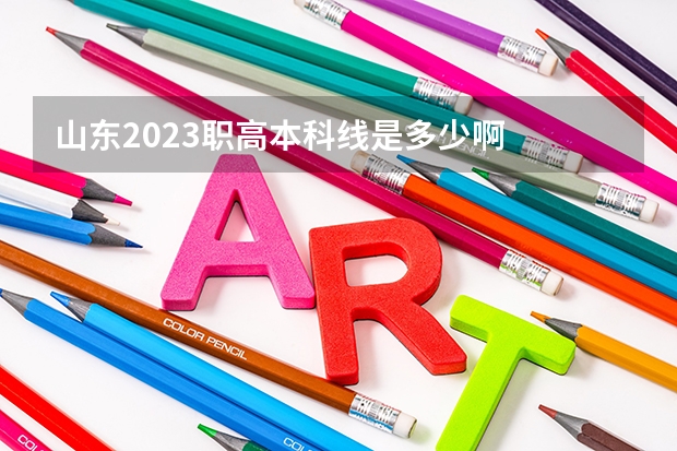 山东2023职高本科线是多少啊