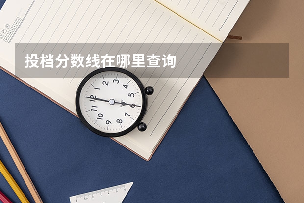 投档分数线在哪里查询