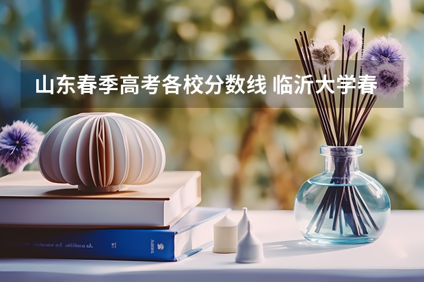 山东春季高考各校分数线 临沂大学春考录取分数线