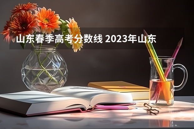 山东春季高考分数线 2023年山东高考体育分数标准