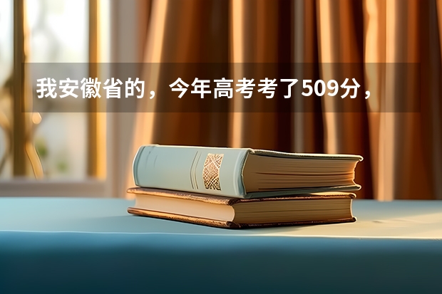 我安徽省的,今年高考考了509分,我是文科生,比二本线高8分,请问我能在安徽省内上哪些比较好的学校?