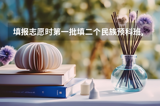 填报志愿时第一批填二个民族预科班,第二批填平行志愿行吗?